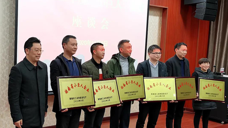 喜大普奔！炬神電子被評為湖南省“小巨人”企業